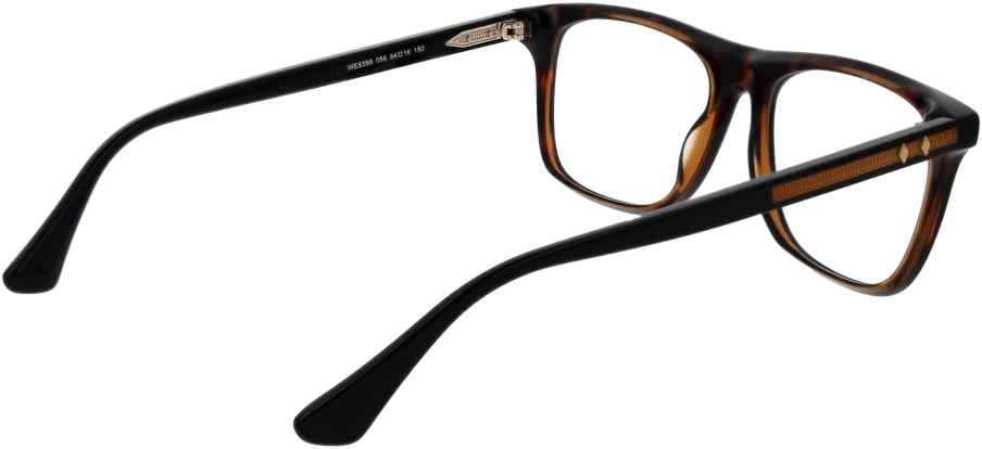 Akinių rėmeliai WEB EYEWEAR WE5399 54056 (vyrams ir moterims)