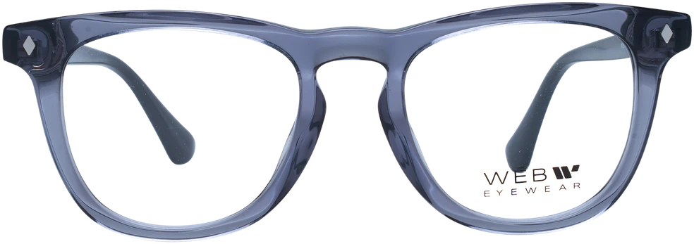 Akinių rėmeliai WEB EYEWEAR WE5400 49020 (vyrams)