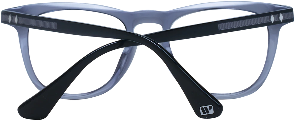 Akinių rėmeliai WEB EYEWEAR WE5400 49020 (vyrams)