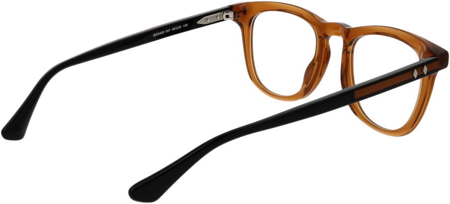 Akinių rėmeliai WEB EYEWEAR WE5400 49047 (vyrams)