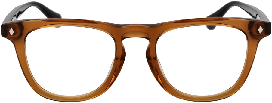 Akinių rėmeliai WEB EYEWEAR WE5400 49047 (vyrams)