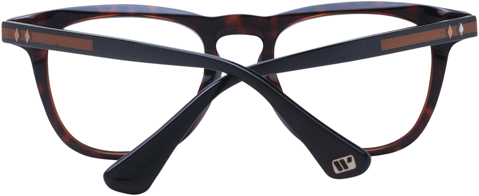 Akinių rėmeliai WEB EYEWEAR WE5400 49056 (vyrams)