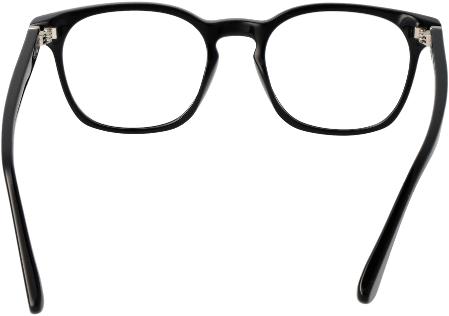 Akinių rėmeliai WEB EYEWEAR WE5410 52001 (vyrams)