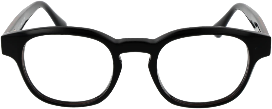 Akinių rėmeliai WEB EYEWEAR WE5411 4901A (vyrams)
