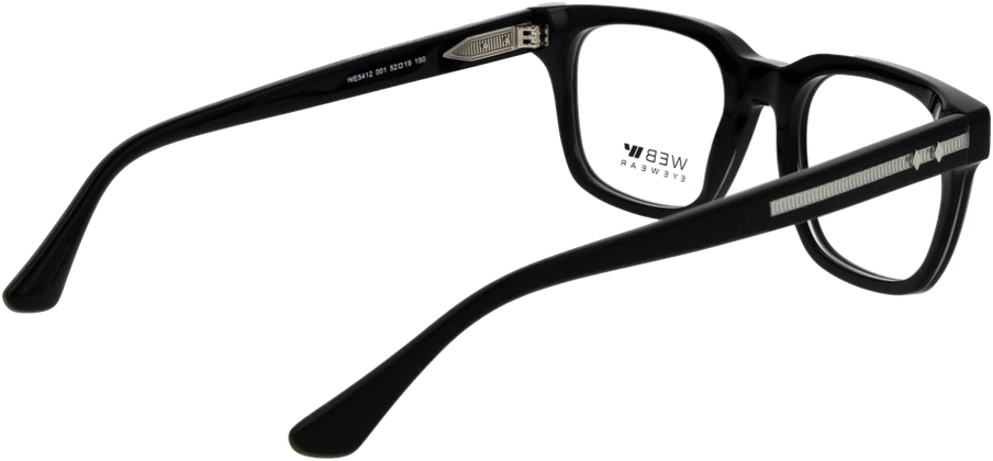 Akinių rėmeliai WEB EYEWEAR WE5412 52001 (vyrams)