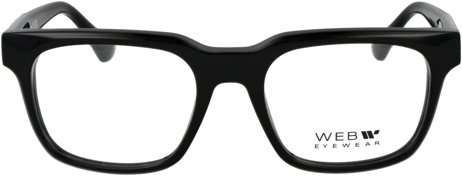 Akinių rėmeliai WEB EYEWEAR WE5412 52001 (vyrams)