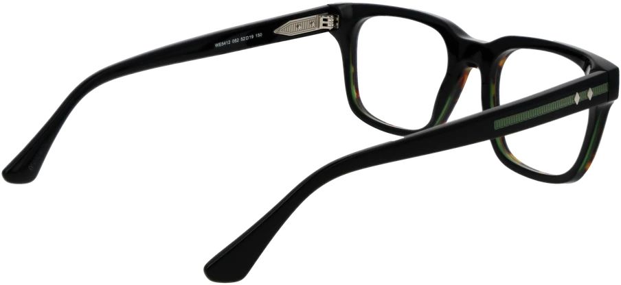 Akinių rėmeliai WEB EYEWEAR WE5412 52052 (vyrams)