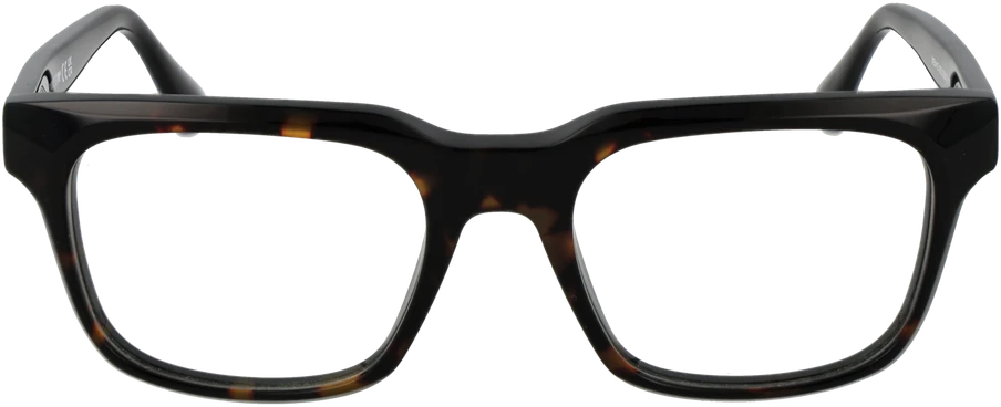 Akinių rėmeliai WEB EYEWEAR WE5412 52052 (vyrams)
