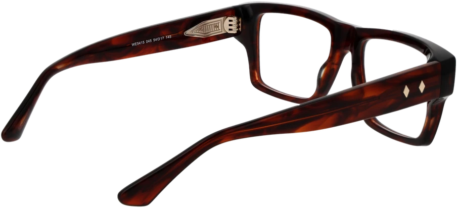 Akinių rėmeliai WEB EYEWEAR WE5415 54045 (vyrams)