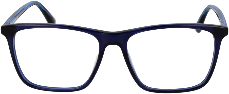 Akinių rėmeliai WEB EYEWEAR WE5418 56092 (vyrams)
