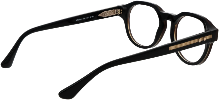 Akinių rėmeliai WEB EYEWEAR WE5421 49050 (vyrams ir moterims)