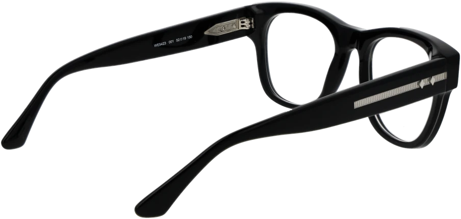 Akinių rėmeliai WEB EYEWEAR WE5423 52001 (vyrams)