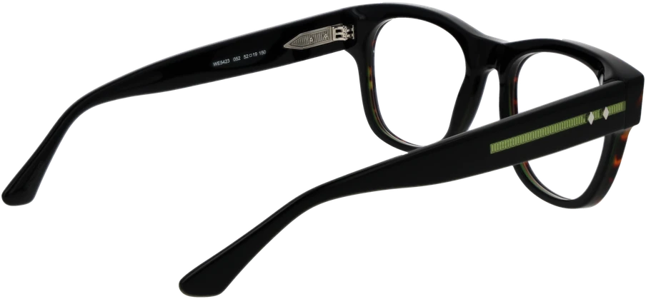 Akinių rėmeliai WEB EYEWEAR WE5423 52052 (vyrams)