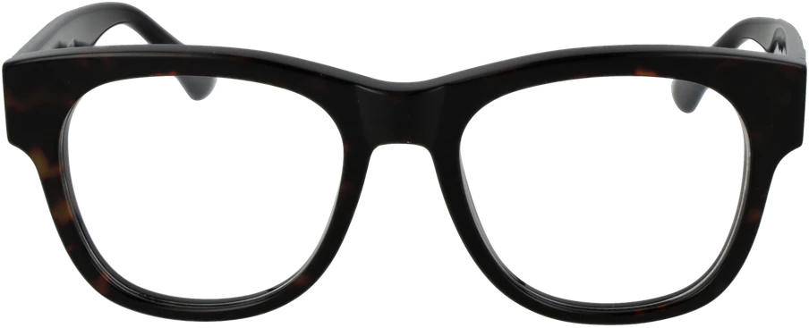 Akinių rėmeliai WEB EYEWEAR WE5423 52052 (vyrams)
