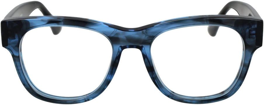 Akinių rėmeliai WEB EYEWEAR WE5423 52092 (vyrams)