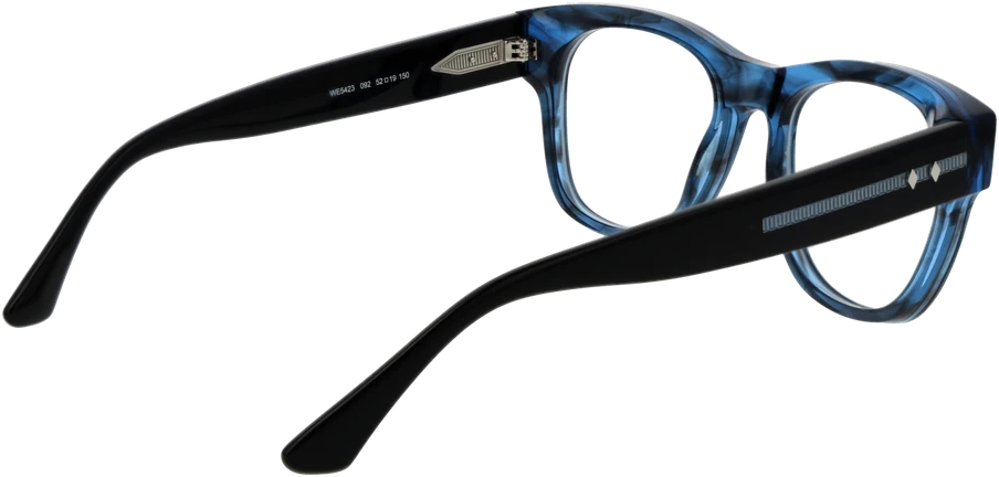 Akinių rėmeliai WEB EYEWEAR WE5423 52092 (vyrams)