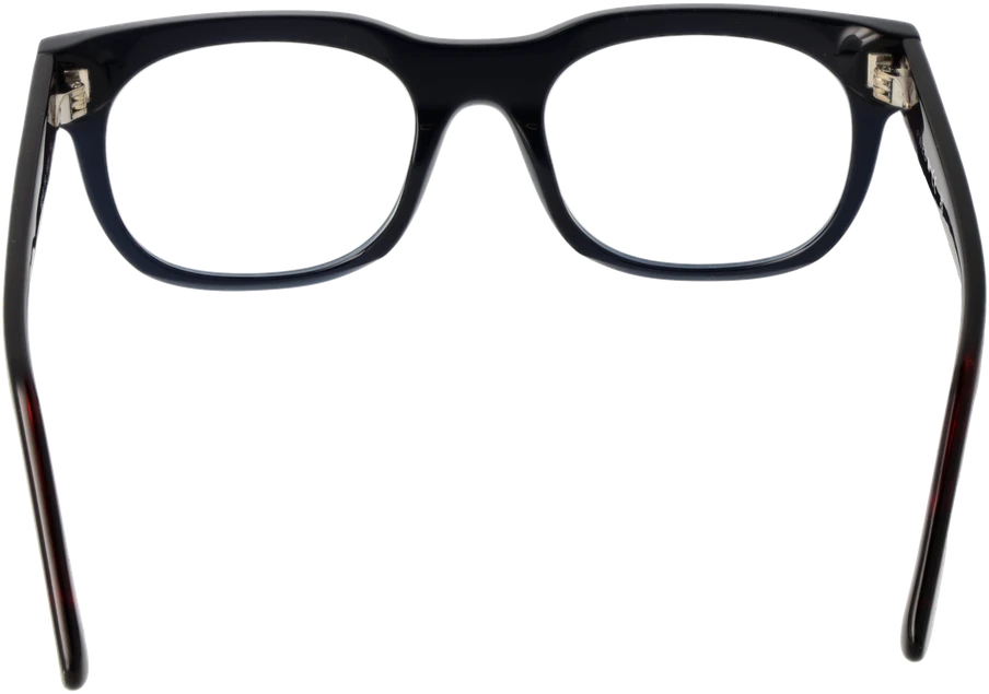 Akinių rėmeliai WEB EYEWEAR WE5425 53092 (vyrams)