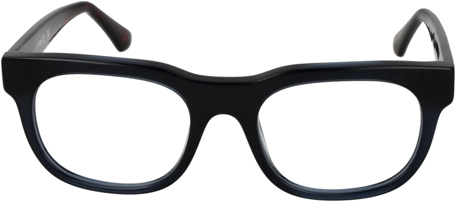 Akinių rėmeliai WEB EYEWEAR WE5425 53092 (vyrams)