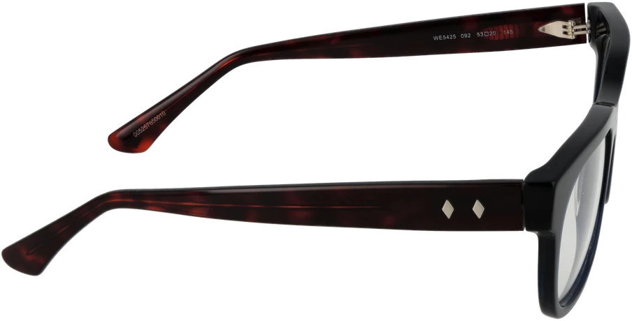 Akinių rėmeliai WEB EYEWEAR WE5425 53092 (vyrams)