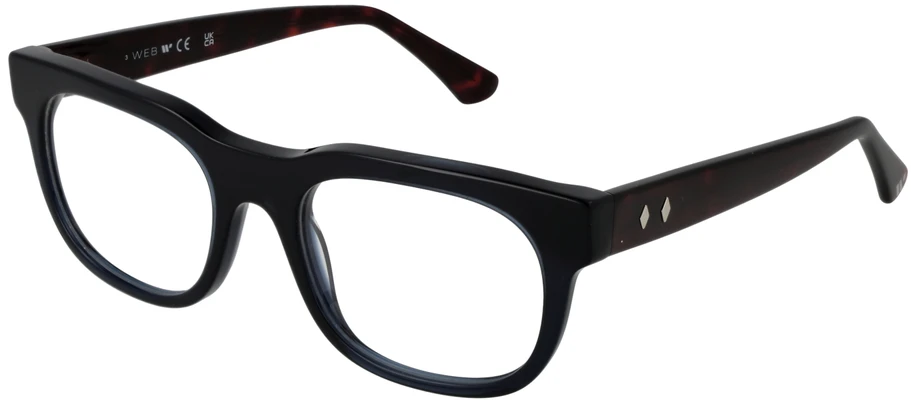 Akinių rėmeliai WEB EYEWEAR WE5425 53092 (vyrams)