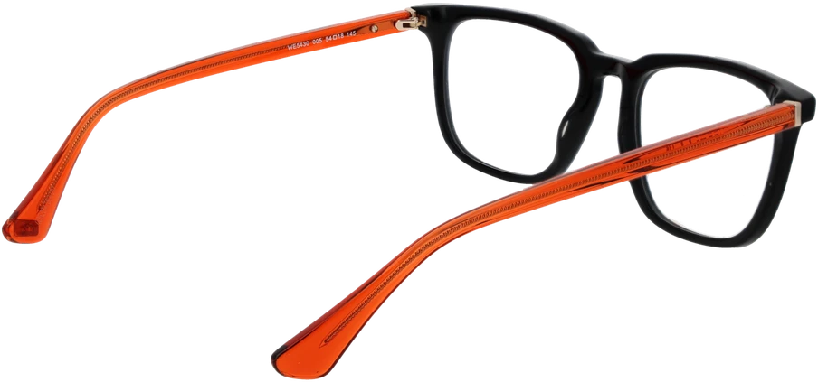 Akinių rėmeliai WEB EYEWEAR WE5430 54005 (vyrams)
