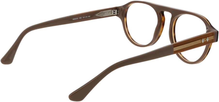 Akinių rėmeliai WEB EYEWEAR WE5433 52052 (vyrams)