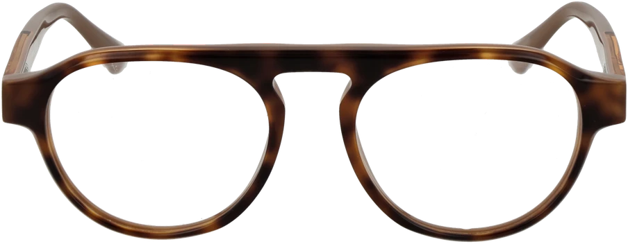 Akinių rėmeliai WEB EYEWEAR WE5433 52052 (vyrams)