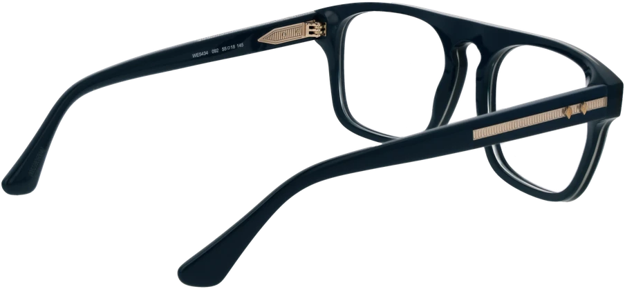 Akinių rėmeliai WEB EYEWEAR WE5434 55092 (vyrams)