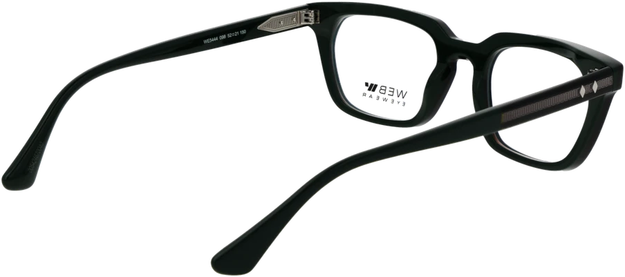 Akinių rėmeliai WEB EYEWEAR WE5444 52098 (vyrams)
