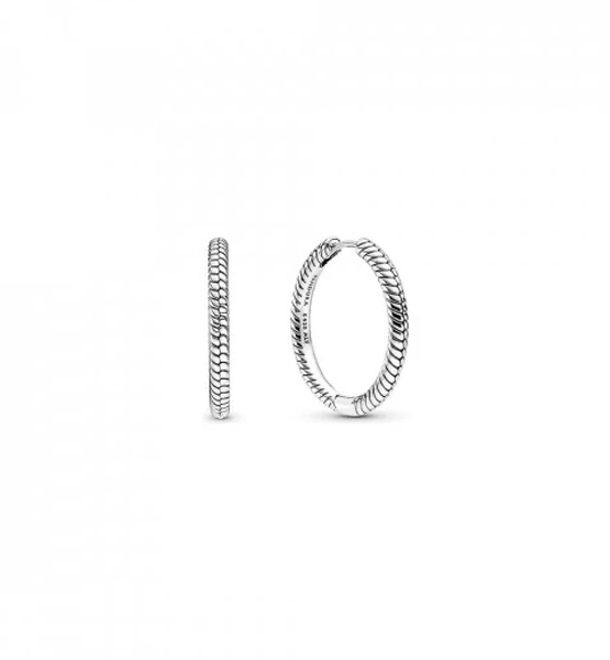 „Pandora“ auskarai 299532C00