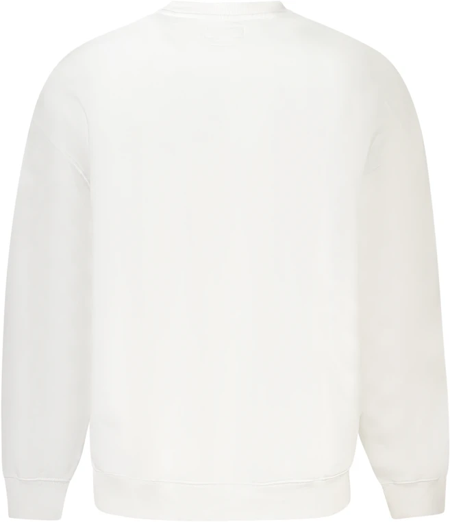 Džemperis GUESS JEANS M4YQ21K9V31_BIG011 (vyrams), balta
