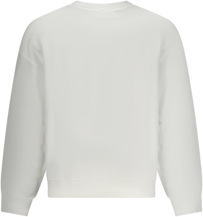 Džemperis GUESS JEANS M5RQ35KCPR1_BIG011 (vyrams), balta