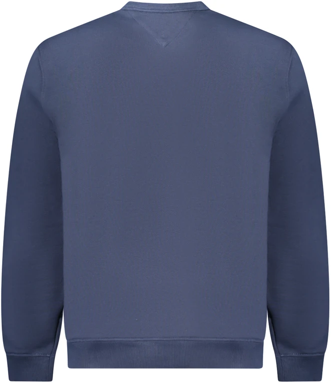 Džemperis TOMMY HILFIGER DM0DM20660_BLC1G (vyrams), mėlyna