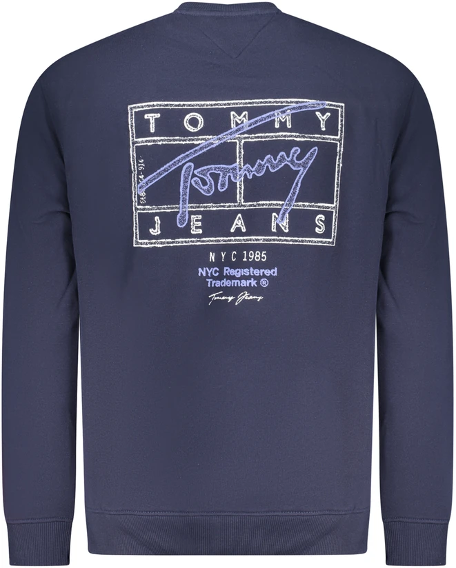 Džemperis TOMMY HILFIGER DM0DM22366_BLC1G (vyrams), mėlyna