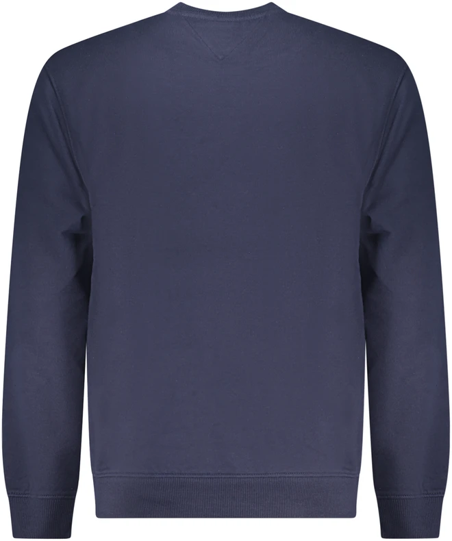 Džemperis TOMMY HILFIGER DM0DM22643_BLC1G (vyrams), mėlyna