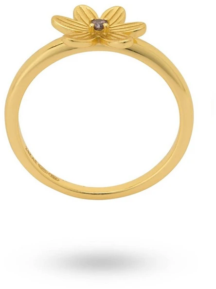 Papuošalas 24KAE JEWELS 124155Y_56