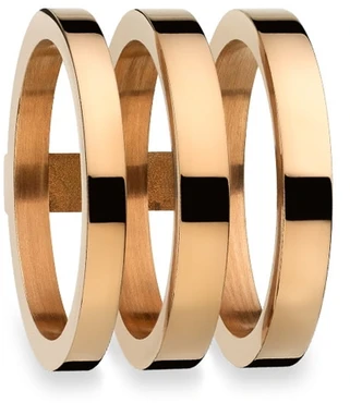 Papuošalas AN JEWELS AR-R3NS02Y-8