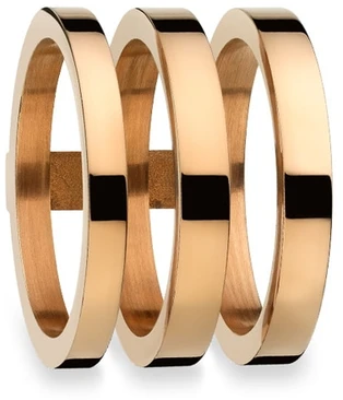 Papuošalas AN JEWELS AR-R3NS02Y-9