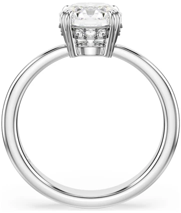 Papuošalas SWAROVSKI JEWELS 5717939