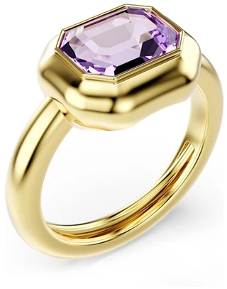 Papuošalas SWAROVSKI JEWELS 5753094