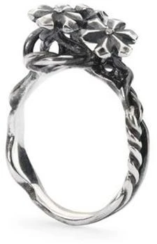 Papuošalas TROLLBEADS TAGRI-00304