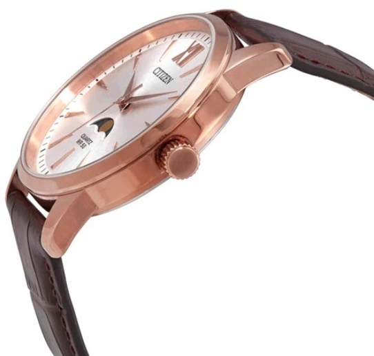 Rankinis laikrodis CITIZEN AK5003-05A (vyrams)
