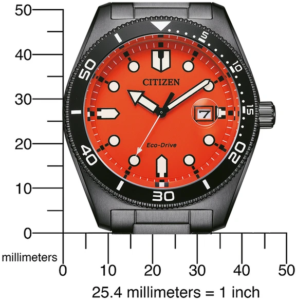 Rankinis laikrodis CITIZEN AW1765-88X (vyrams)