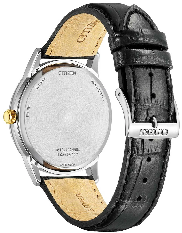 Rankinis laikrodis CITIZEN AW1784-16E (vyrams)