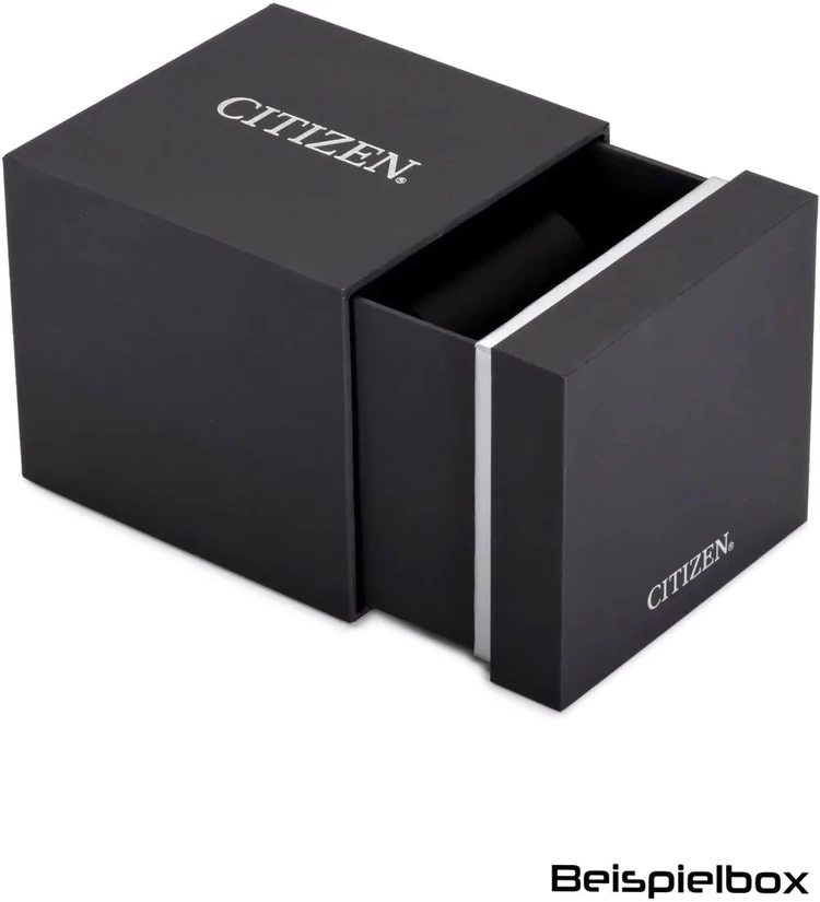 Rankinis laikrodis CITIZEN AW1810-85L (vyrams)