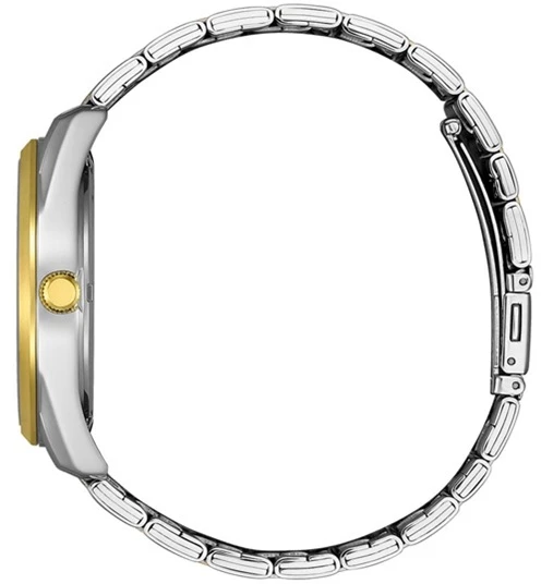 Rankinis laikrodis CITIZEN BI1036-57A (vyrams)