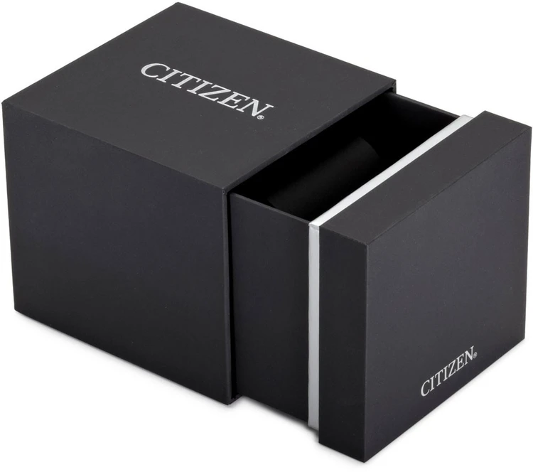 Rankinis laikrodis CITIZEN BI5070-57A (vyrams)