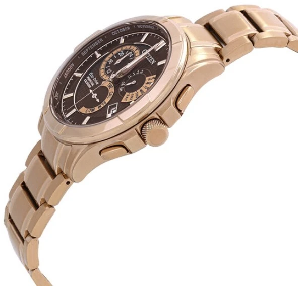 Rankinis laikrodis CITIZEN BL8163-50X (vyrams)