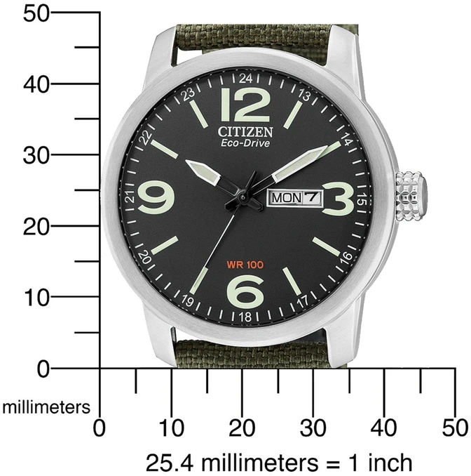 Rankinis laikrodis CITIZEN BM8470-11EC (vyrams)