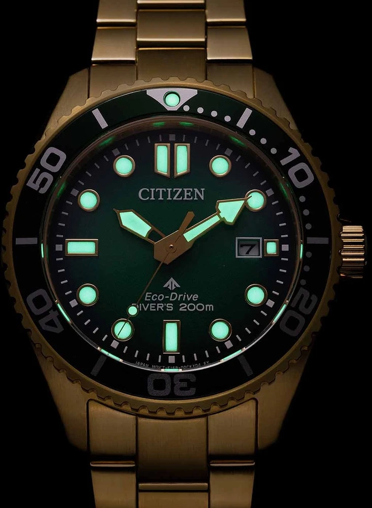 Rankinis laikrodis CITIZEN BN0262-59W (vyrams)